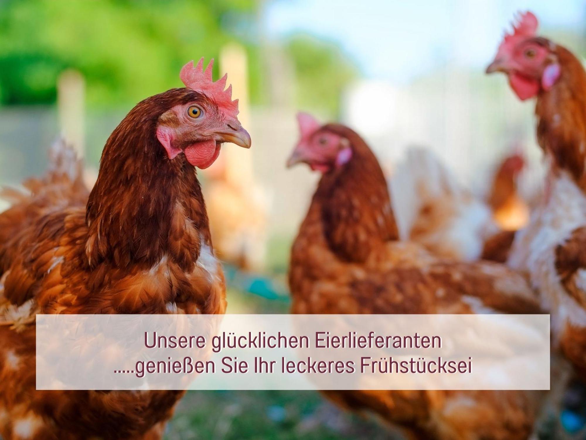 Designerwohnungen "Beim Schmied" In Chiemseenaehe Traunreut Ngoại thất bức ảnh